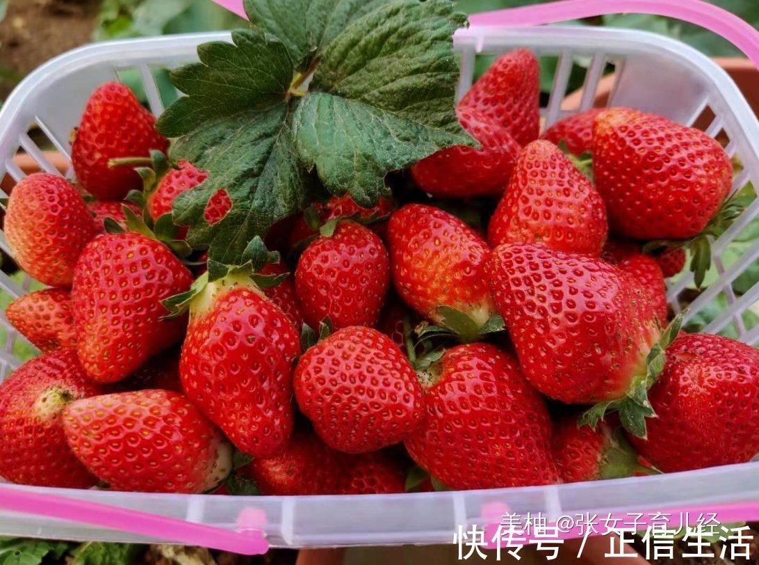 超市|2岁娃超市拿草莓吃,孩子被工作人员当“小偷”,宝妈的做法获赞