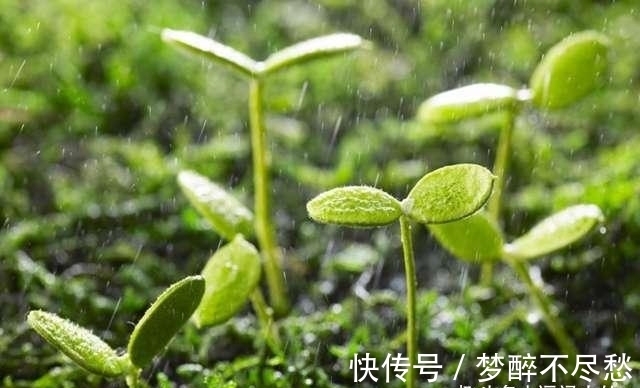 朋友|很像“及时雨”的4生肖，言出必行，心胸广，雪中送炭，很靠谱