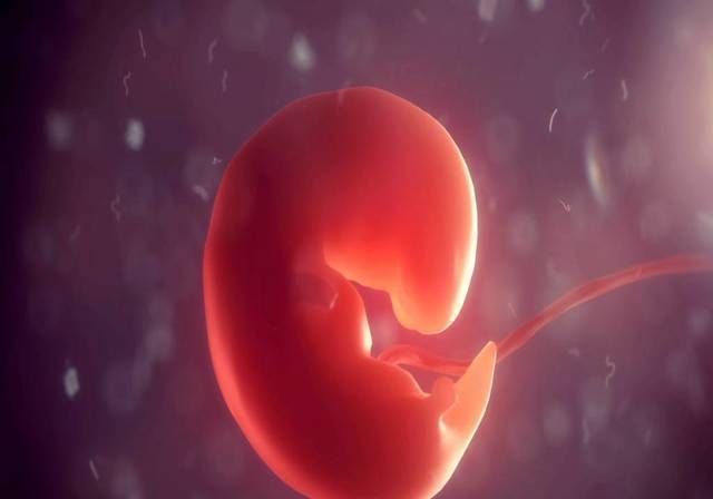 胎儿|畸形宝宝的出现，多和“吃”有关，这些食物要少吃，别不听劝