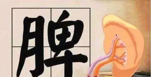 赤小豆|松树根上有一物,被李时珍誉为“仙家上物”,4吃5不吃,值得注意