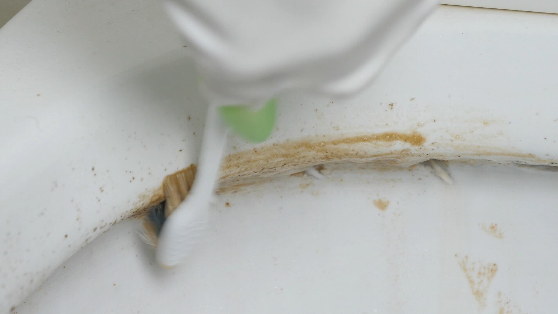 马桶黄渍又脏又臭,教您一个小窍门,不仅擦得干净,还不会有臭味