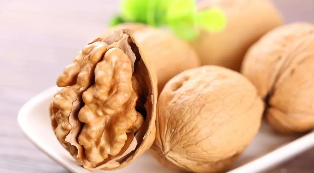 肠胃功能紊乱|核桃被称为“长寿果”,这4种吃法不仅健康,而且营养,更能治病