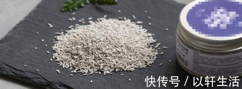杀灭|养花得了蚧壳虫,密密麻麻让人头疼,不花一分钱,教你杀灭蚧壳虫