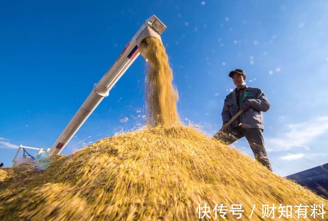 买房|10年后,房和车或将“没价值”?2个不起眼的东西才是“香饽饽”