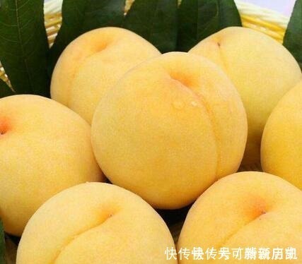 橘子|每天堅持吃3種食物，營養(yǎng)豐富，延緩衰老！每天堅持吃3種食物，營養(yǎng)豐富，延緩衰老！