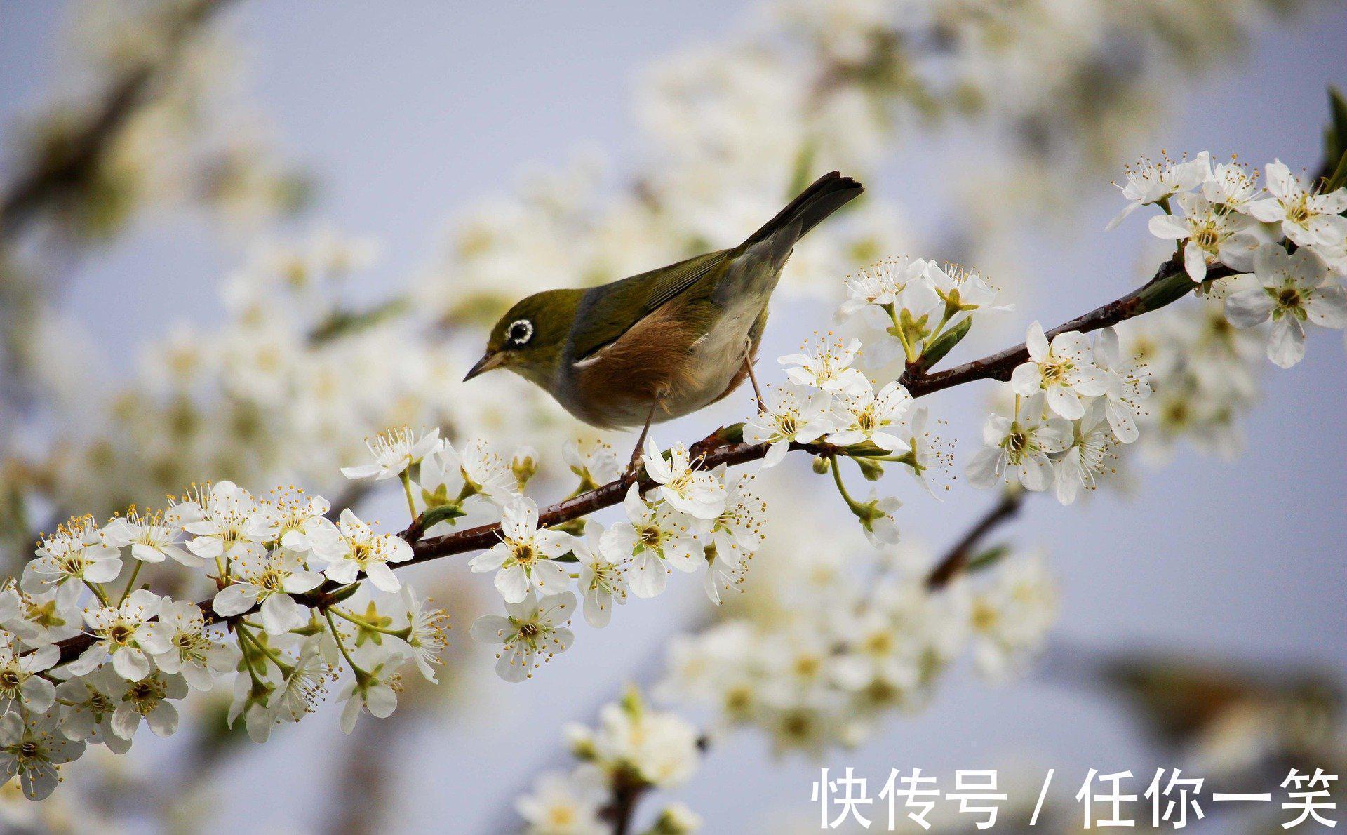 六十四卦#《易经》推天道明人事,中国哲学精华,卦名和卦序已见端倪