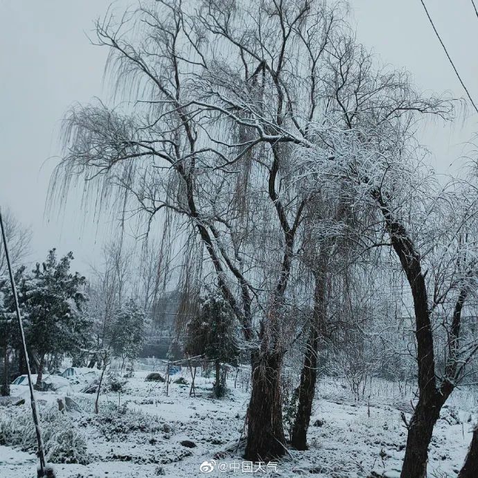 安徽|今天被南方的鹅毛大雪刷屏！“断桥残雪”美呆 有人在雪里实现“冰墩墩”自由