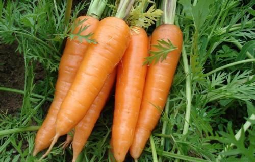 人到中年想长寿，不要错过的食物，排毒清肠，降压减脂，滋养身心