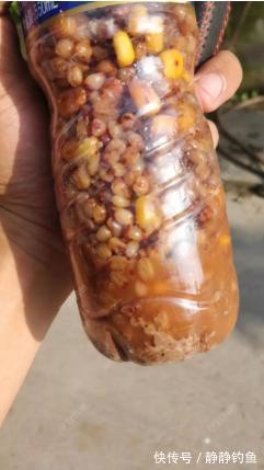 冬天不钓鱼也别闲着,尝试制作这款特效窝料,来年钓大物就指它了