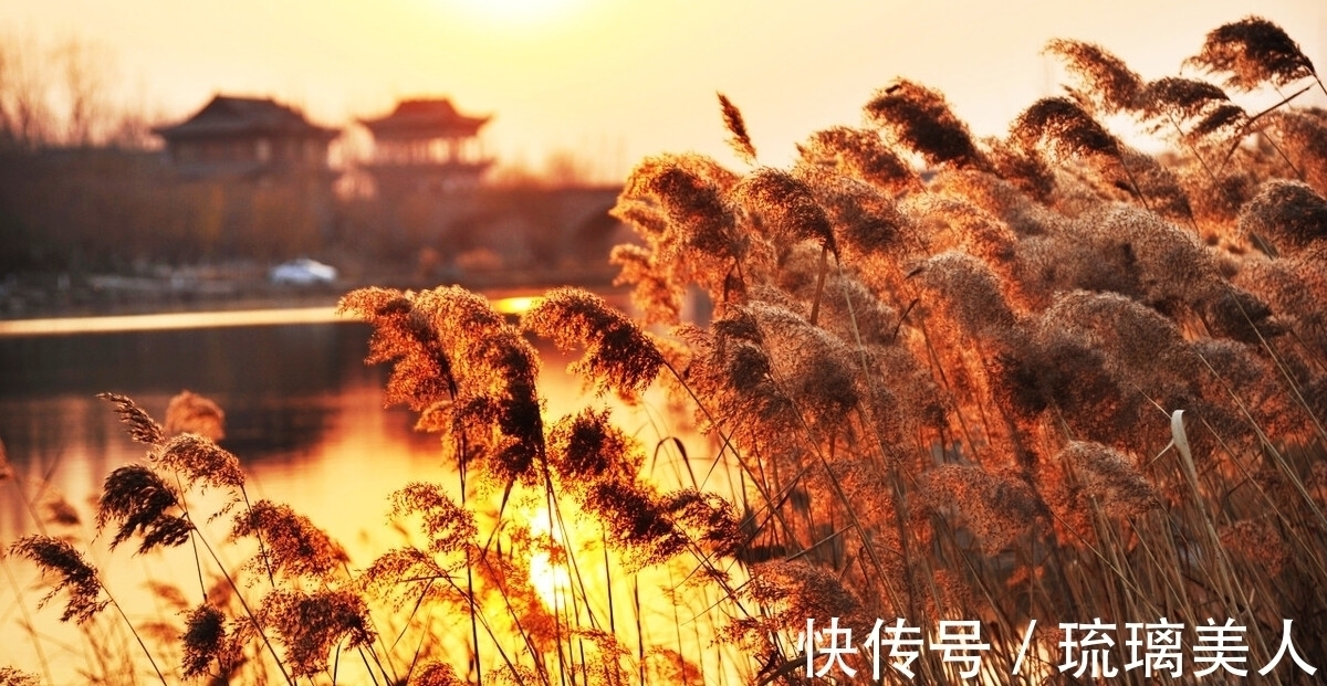 岁月静好&两首荻花秋诗词,一首静好,一首情深,你喜欢哪一首