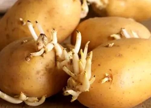 医生提醒:这6种蔬菜要停止食用,现在知道不算晚,平时别忽略