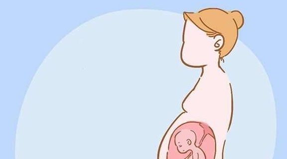 发育不良|怀孕后不显怀的4个原因,如果是第2个,说明你很幸运