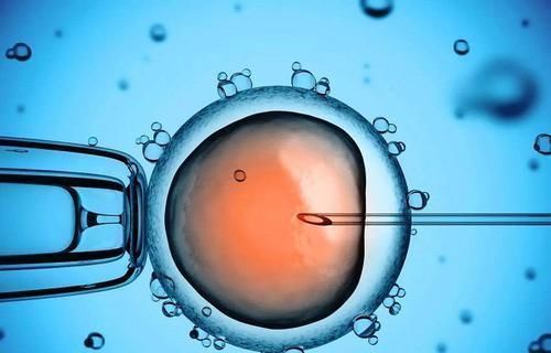 怀孕|女人最晚受孕年龄是多少医生超过这个年龄，就不建议生了