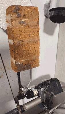 |搞笑GIF:看什么看?赶紧来救我,真装不下去了