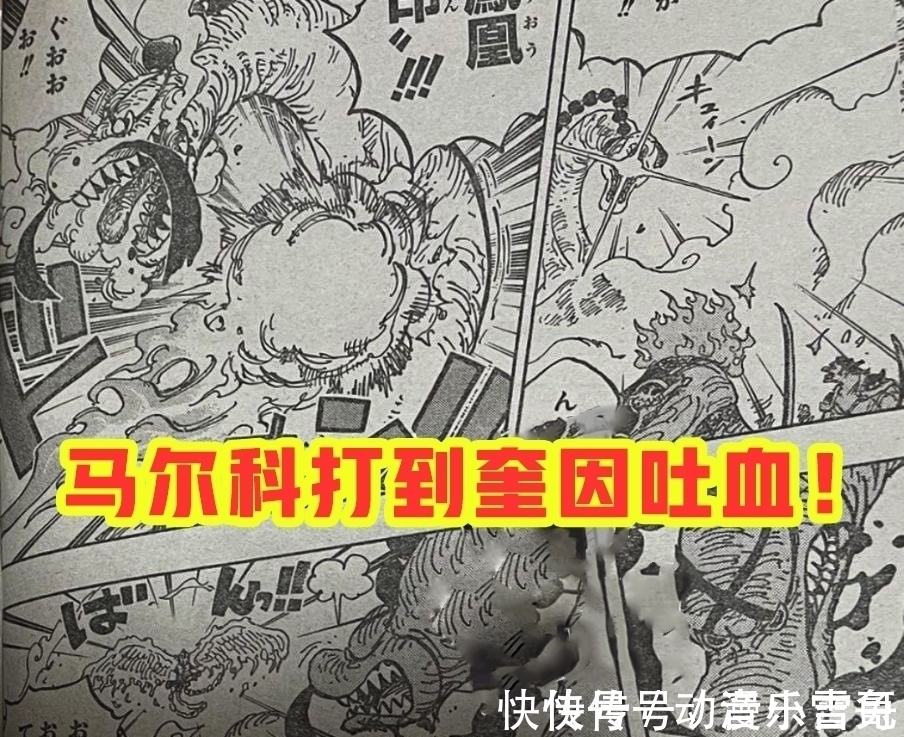 豹五郎|海贼王1006话:小马哥被烬斩落翅膀,豹五郎释放“生命归还”