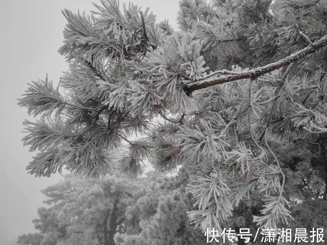 秀雪|南方多地迎来今冬初雪！网友：南方孩子的冬季限定快乐来了