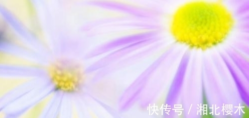 天秤|从7月29日开始，桃花漫天，温柔以盼，牵手佳人，矢志不渝