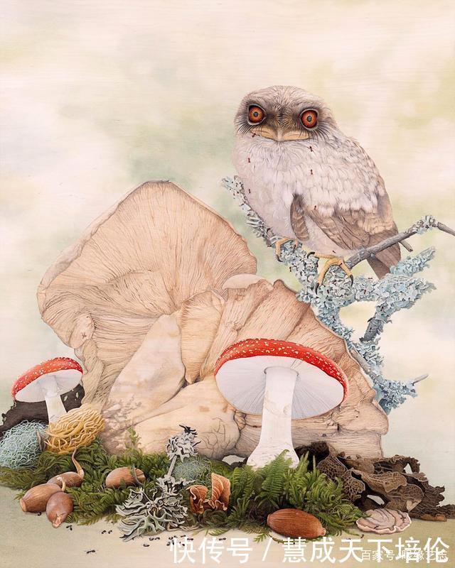 感恩|博齐奇的自然幻境异想天开的科学艺术,感恩生命的生物美学