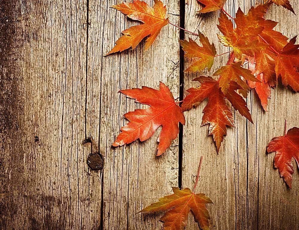 心路历程|辛弃疾体悟人生的词，尝尽世间酸甜苦辣，极具深度，难怪千年传颂