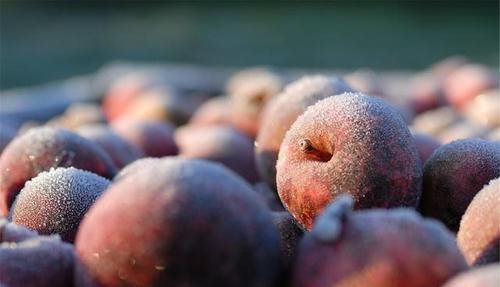 一日三餐|月子期四类食物多馋也别吃，耽误身体恢复不说，还可能引发不适