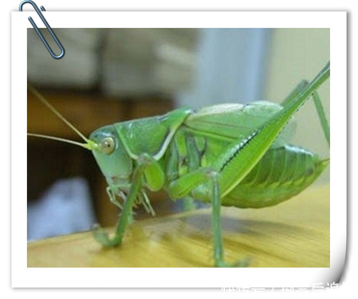 趣事|两亿多80后的童年趣事之美食篇