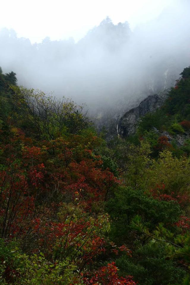 洋汤河|错峰出游正当时，文县2个秋色宜人的地方，第一个天池，人间仙境