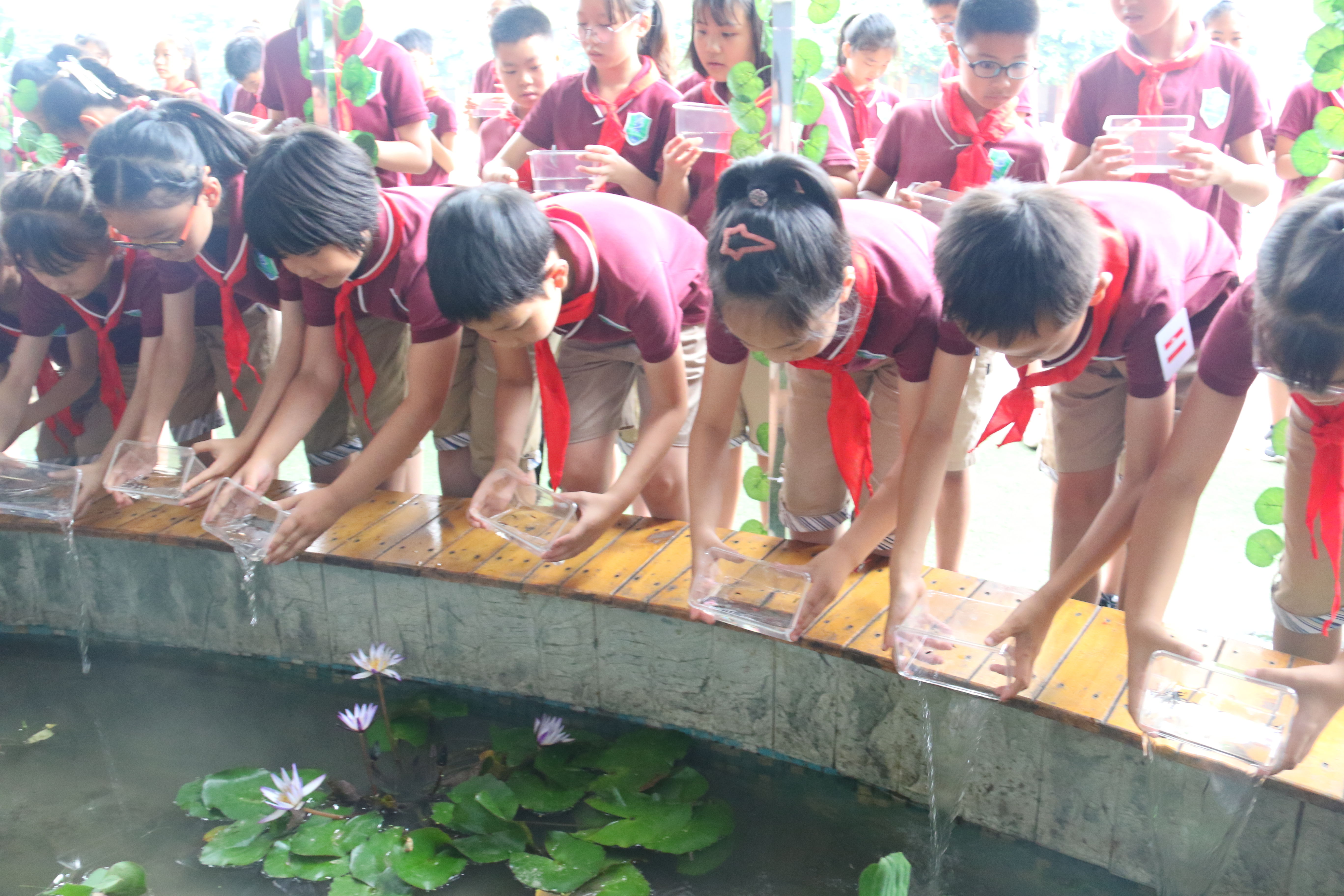 成都|浪漫！4000只萤火虫在成都这所小学安家