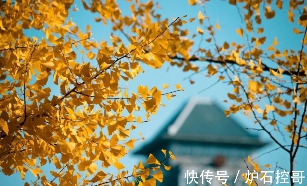 词人$诗词丨宋词的秋,惊艳四季:澄江似练,翠峰如簇,归帆去棹残阳里