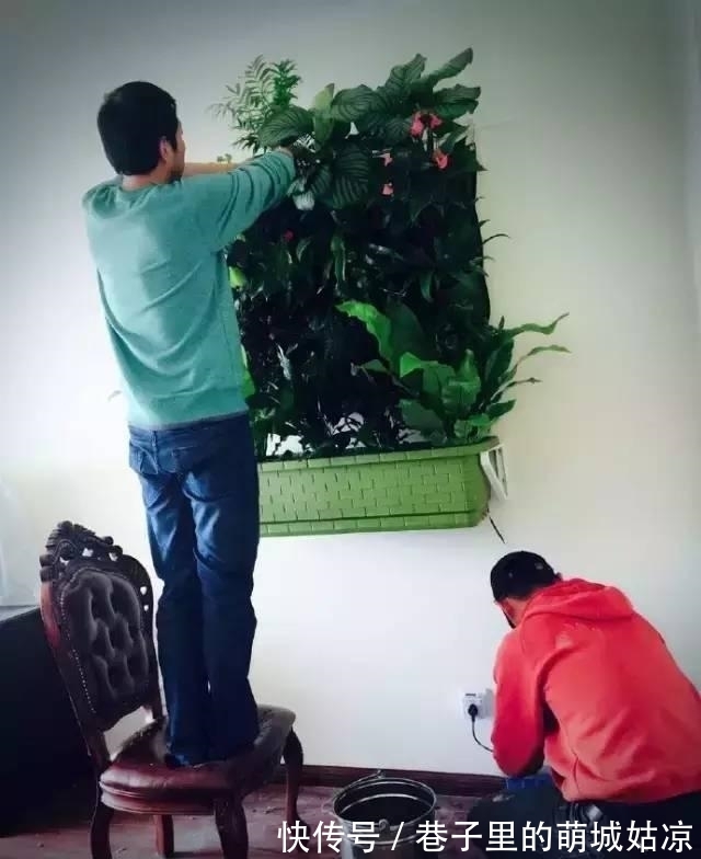 王昱珩|被《人民日报》表扬，1000万姑娘都想嫁，他将家变成热带雨林