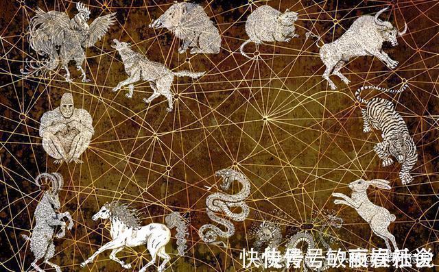 苍蝇|12个冷知识:或许看起来丝丝反智,但却真实存在着的奇怪知识