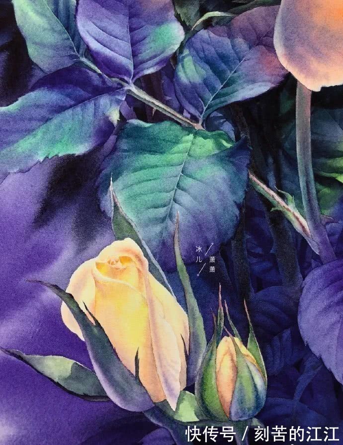 花瓣@水彩这样画,也太美了吧!居然把花瓣画出透明的感觉,看完忍不住保存!