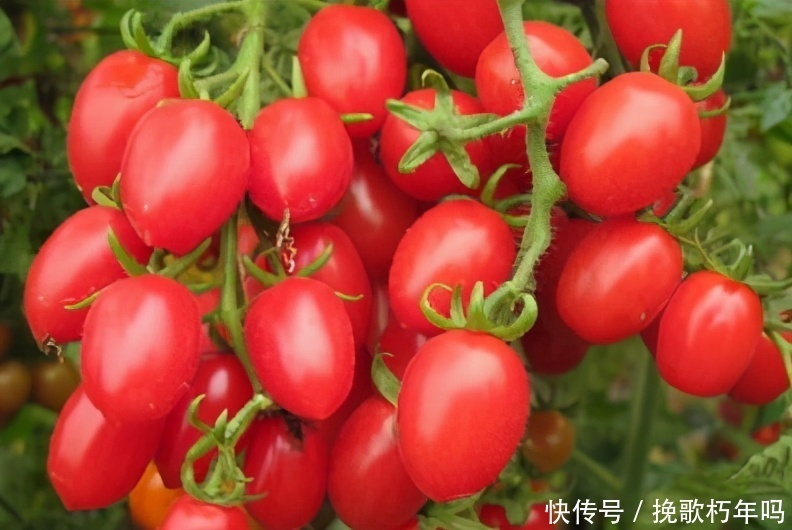 想长寿先排毒，常吃三种食物，营养丰富，滋补