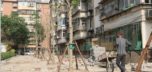 买房|买房别傻傻买二手房,我家当初不听劝,住进去倒霉事全来了