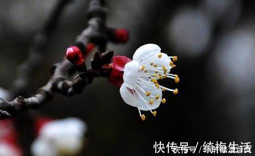 收入|下周开始，好运连连，贵人大力扶持，收入多多，做梦都笑的属相