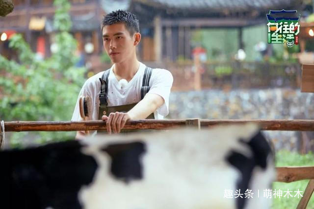 《向往的生活》看人下菜碟從鏡頭播送量就能看出，差別待遇明顯