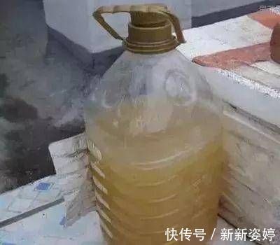 淘米水|爷爷养花从不用“淘米水”，盆里倒“2种料”，6天1次，窜窜长