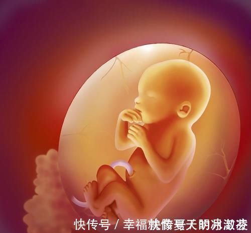 赔偿|预估胎儿体重,相差1100克,医院却赔偿42万元,原因何在?