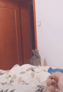 |搞笑GIF:我都不敢这么p,她却敢这么长!