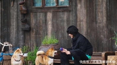 《向往的生活5》开播:彭彭子枫状态极佳,张艺兴出师骗过导演组