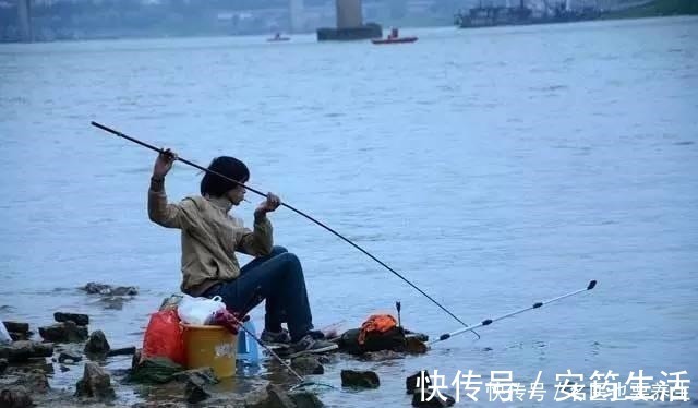 颗粒料|夜钓鲤鱼,这些注意事项能到位,想要空竿都难