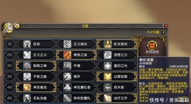 惩戒光环|魔兽世界:圣骑士三系登顶,惩戒骑团本伤害太夸张,削弱已成定局