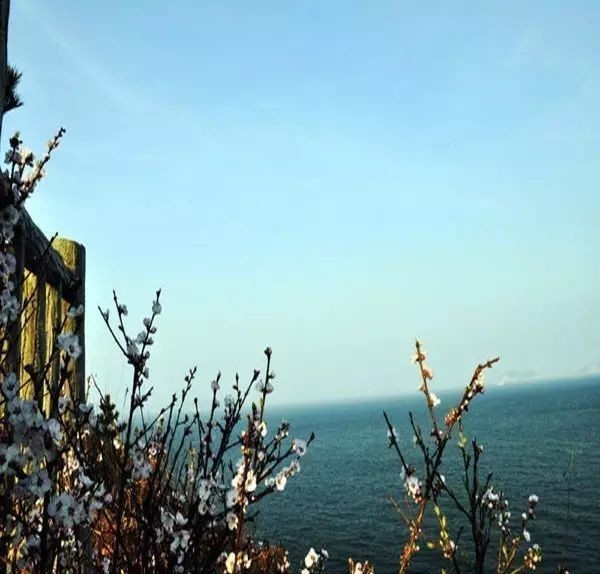 曾国藩诗10首:倚天照海花无数,流水高山心自知