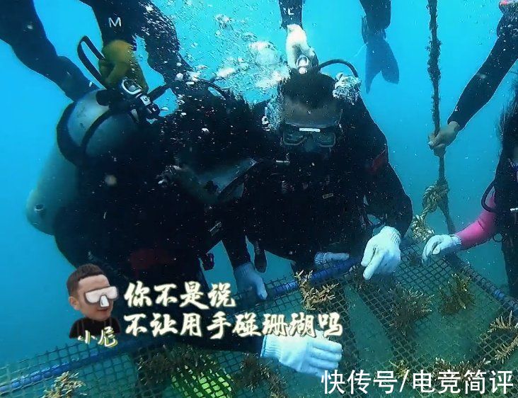 珊瑚|《你好生活》要求素顏種珊瑚，以身作則宣傳正能量，節(jié)目意義所在