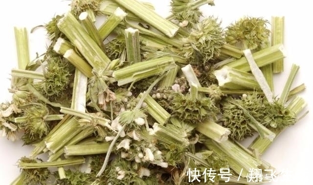 苦瓜|夫妻俩备孕一年不成功,医生:不孕的原因,出在这两种食物上