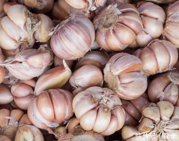 想长寿就多吃这些食物,延长经期,延缓衰老,精力旺盛,防癌等