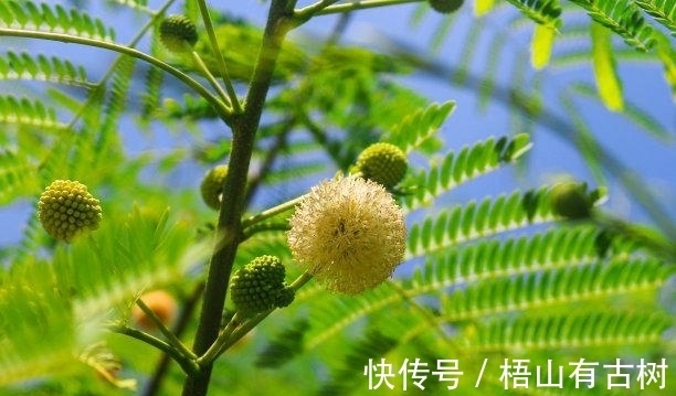 金牛座|近期内,为爱付出,旧爱转身,牵挂旧爱,重续前缘,幸福重启