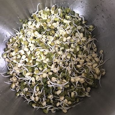 豆芽粉|绿豆芽成长记