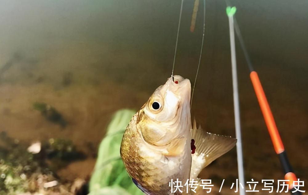 别埋怨自己钓不到鱼了,学会这三个技巧,提高渔获不再难