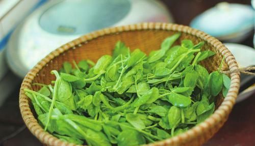 豆腐汤|真正的“补钙汤”就是它,隔三差五吃,补钙质,长个头,孩子要多吃