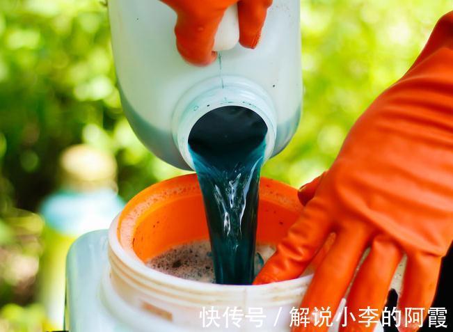 家里养花使用杀菌剂,这些别乱用和混用